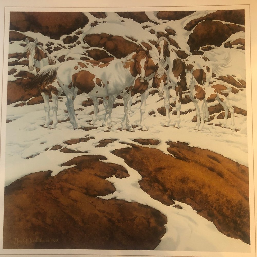 "Where Silence Speaks" by Bev Doolittle